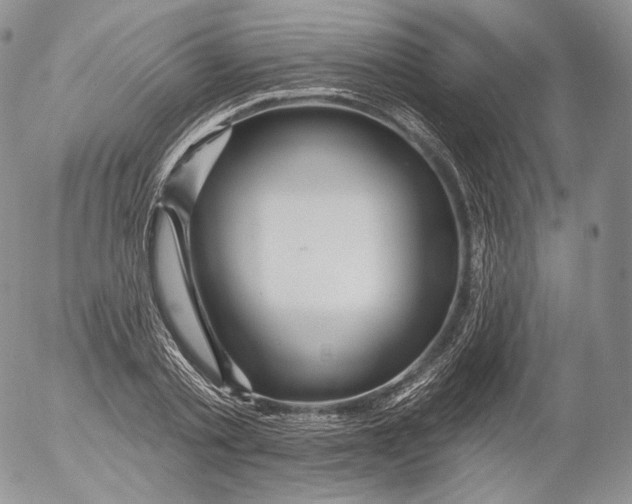 X0000053120789200508012150