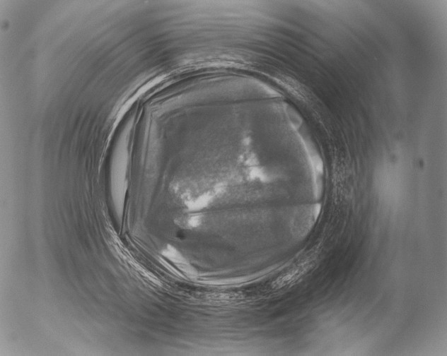 X0000053120790200508012150