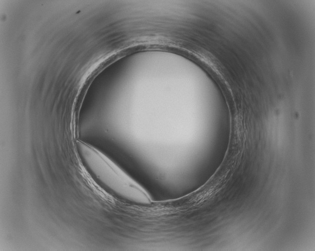 X0000053120791200508012150