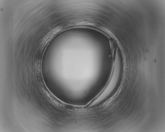 X0000053120793200508012150