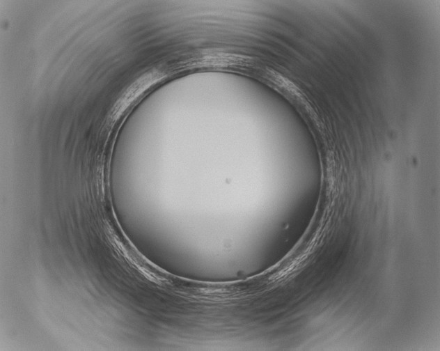 X0000053120794200508012150