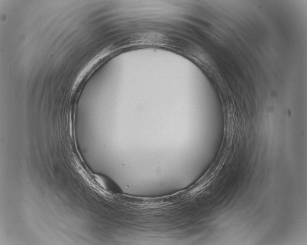 X0000053120796200508012150