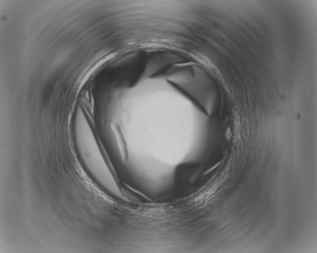 X0000053120798200508012150