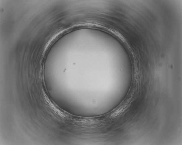 X0000053120799200508012150