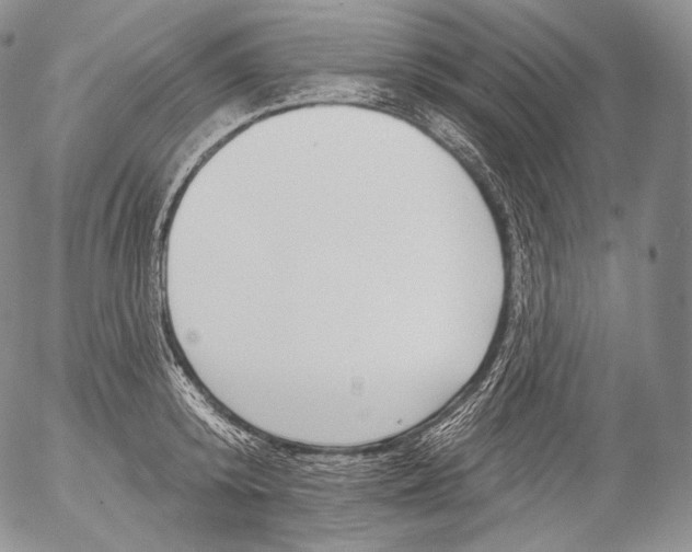 X0000053120800200508012150