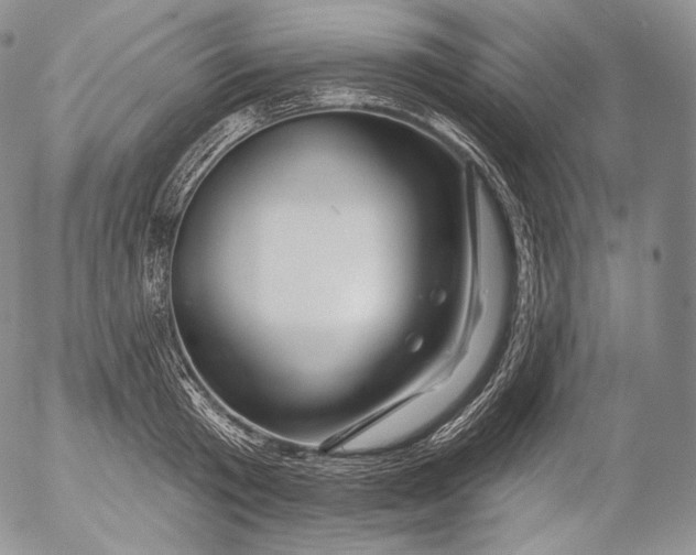 X0000053120801200508012150