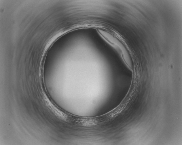 X0000053120803200508012150