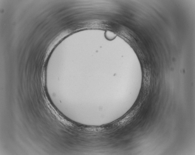 X0000053120804200508012150