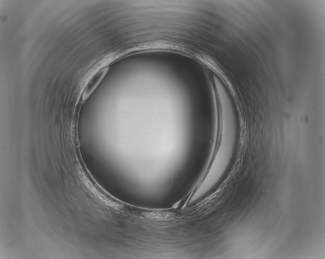 X0000053120805200508012150