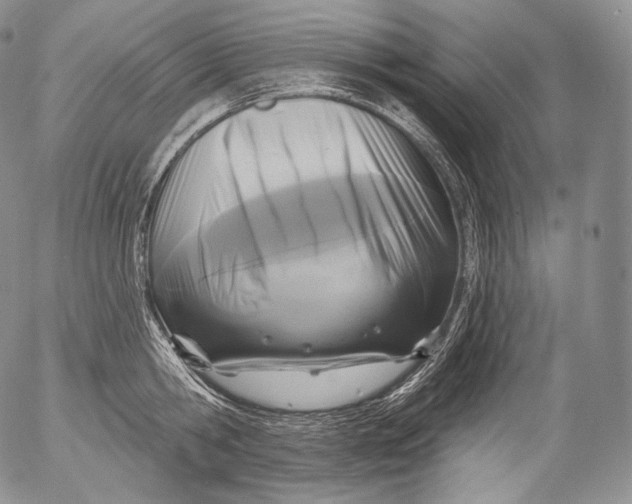 X0000053120806200508012150