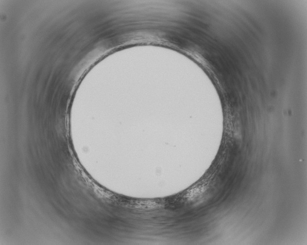 X0000053120807200508012150