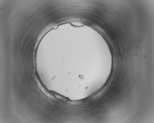 X0000053120808200508012150