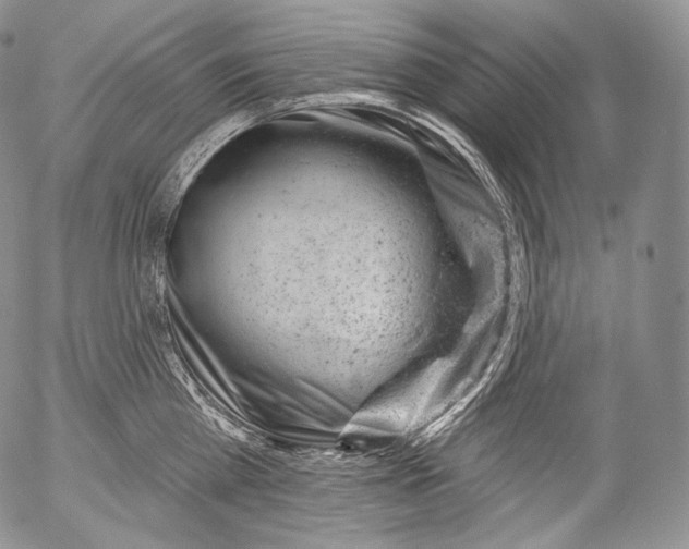 X0000053120809200508012150