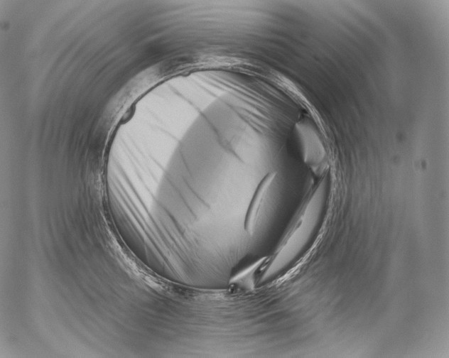 X0000053120810200508012150