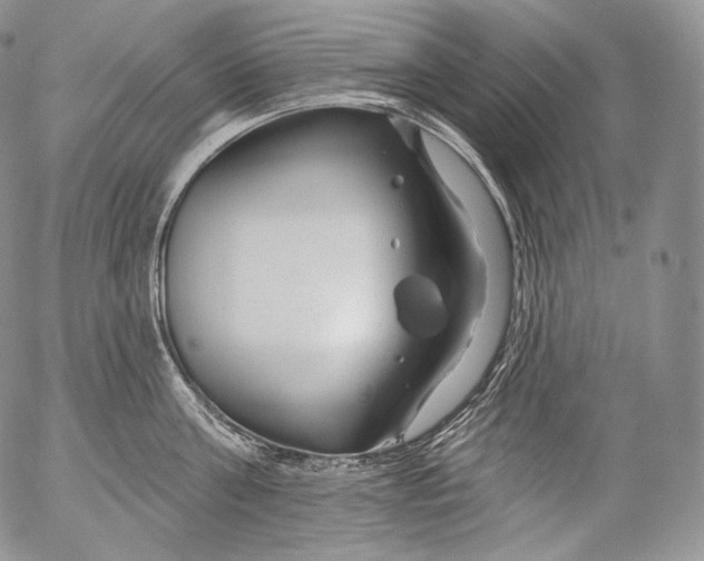 X0000053120811200508012150