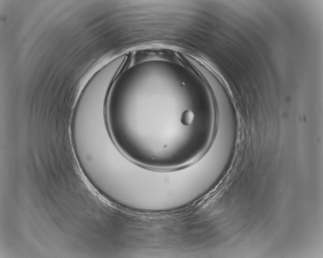 X0000053120813200508012150