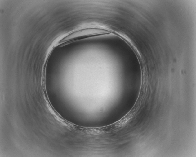 X0000053120815200508012150