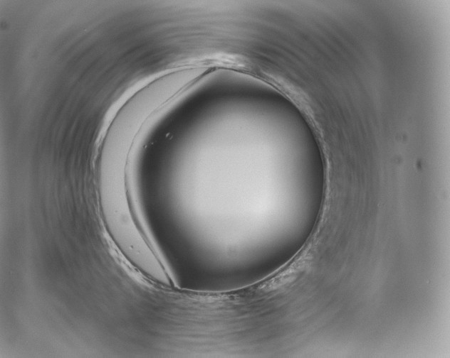 X0000053120816200508012150