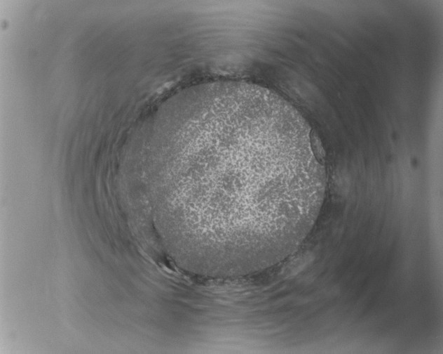 X0000053120817200508012149