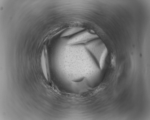 X0000053120819200508012149