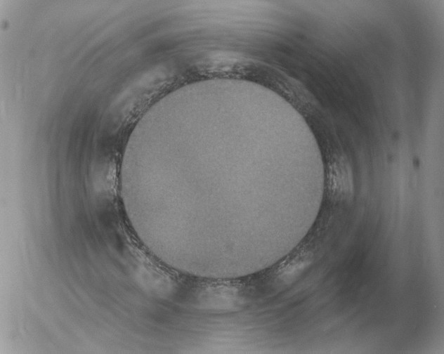 X0000053120820200508012149