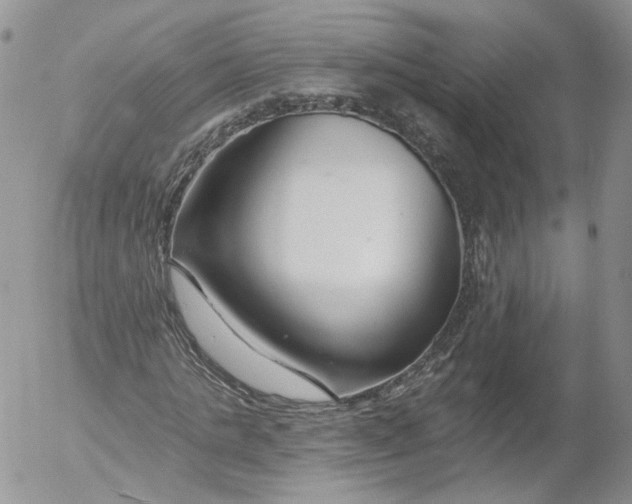 X0000053120821200508012149