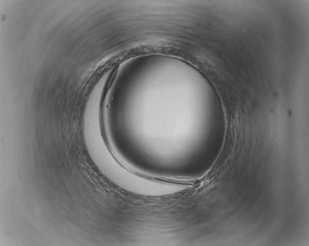 X0000053120822200508012149