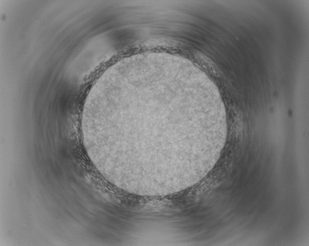 X0000053120824200508012149