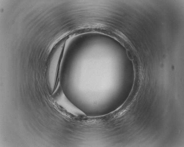 X0000053120826200508012149