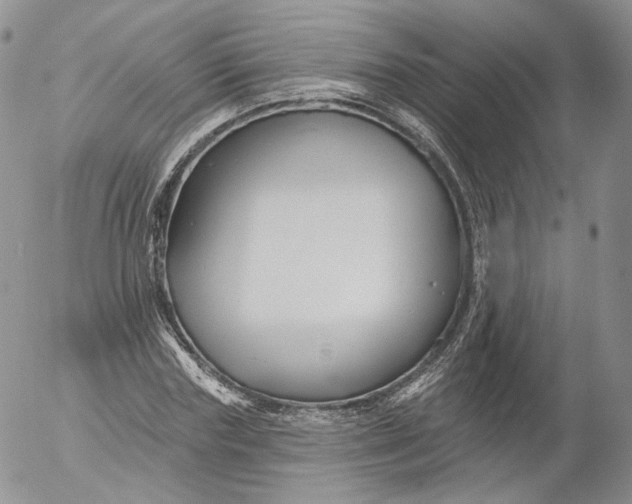 X0000053120827200508012149