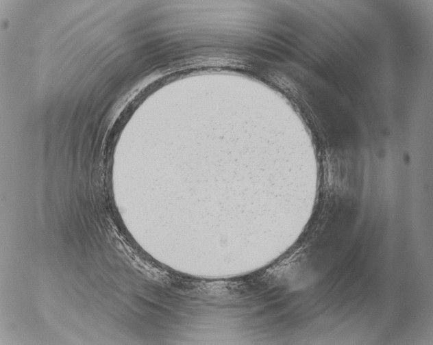 X0000053120828200508012149