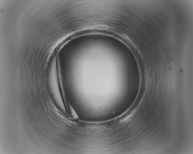 X0000053120830200508012149