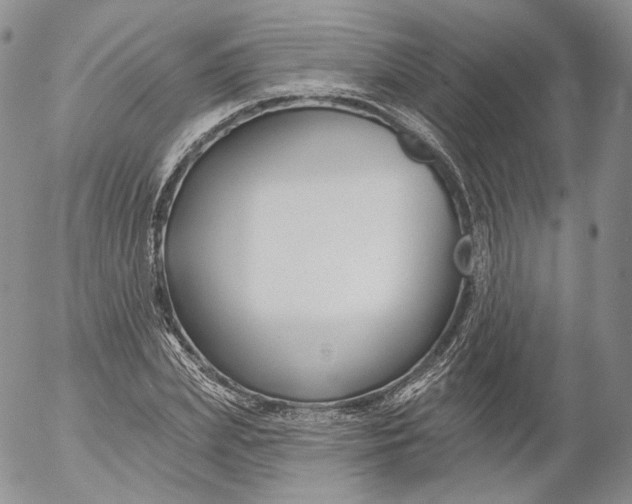 X0000053120831200508012149