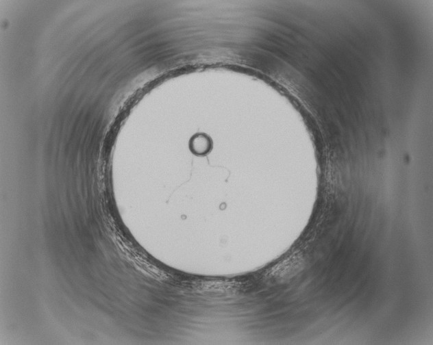 X0000053120832200508012149