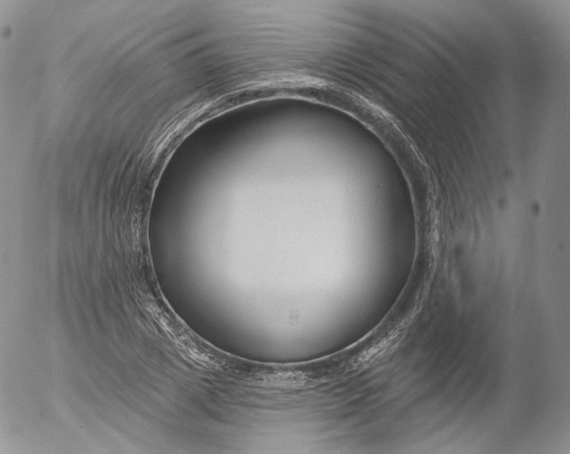 X0000053120833200508012149