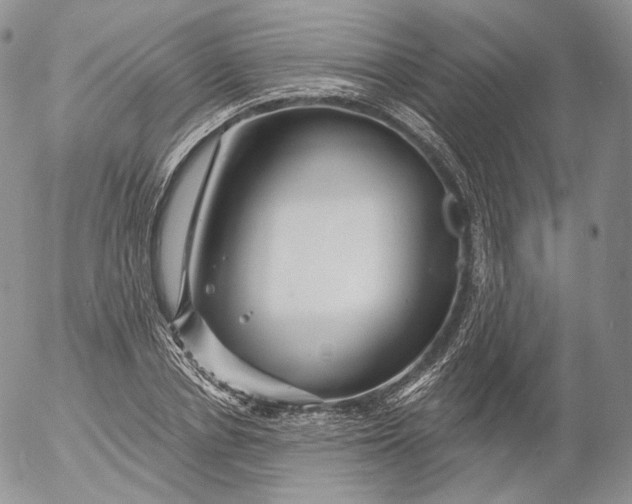 X0000053120834200508012149