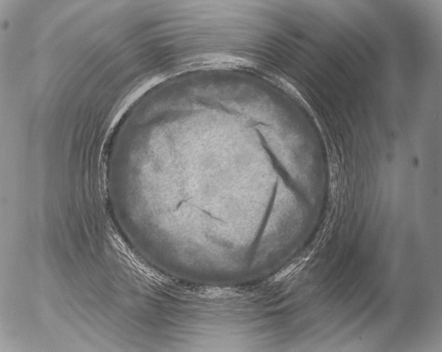 X0000053120835200508012149