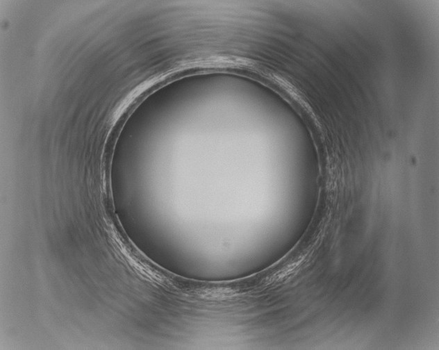 X0000053120837200508012149