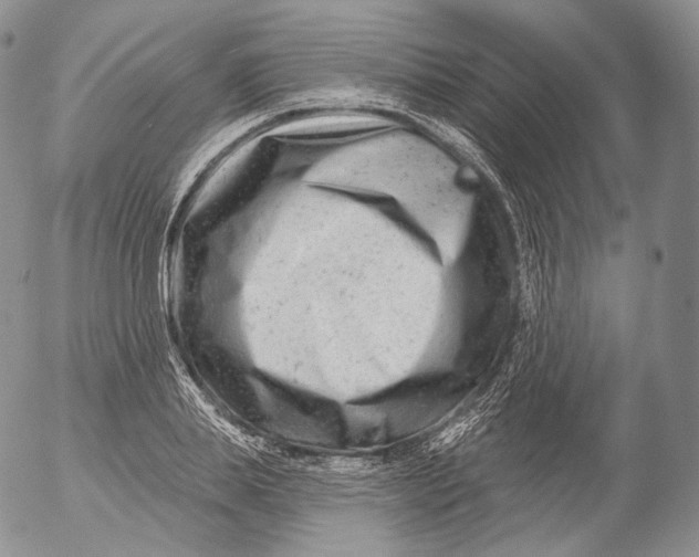 X0000053120839200508012149