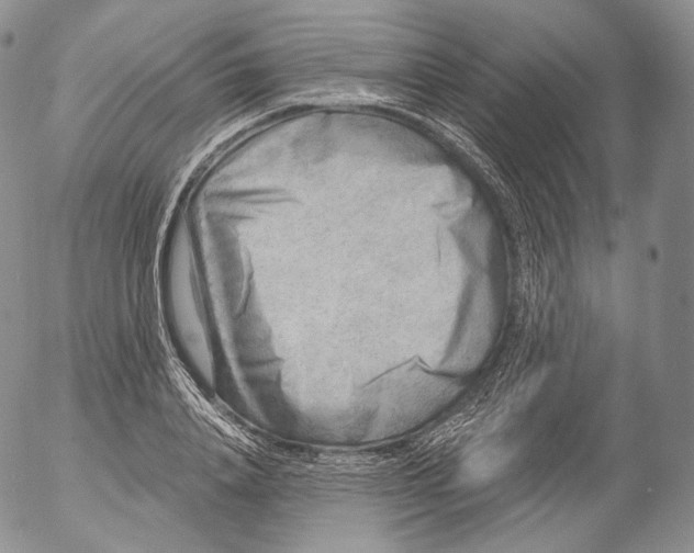 X0000053120840200508012149