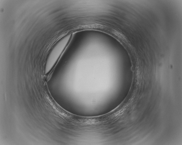 X0000053120841200508012149