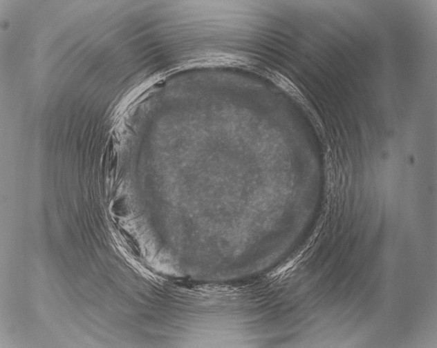 X0000053120842200508012149