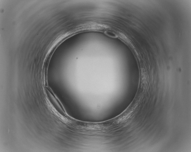 X0000053120843200508012149