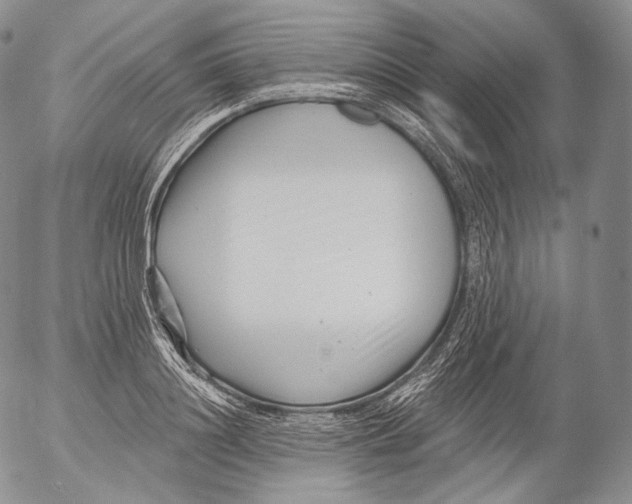 X0000053120844200508012149