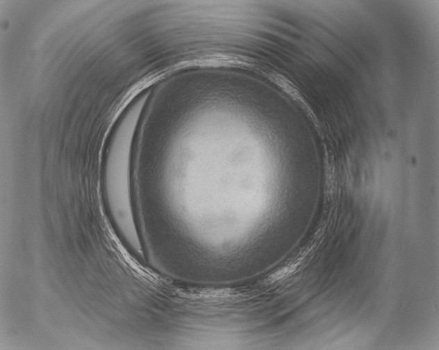 X0000053120845200508012149