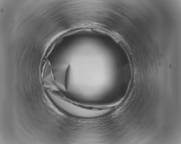 X0000053120846200508012149