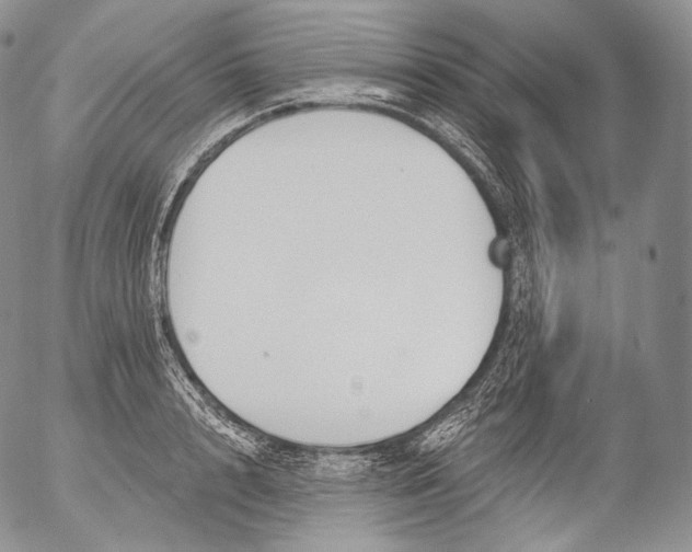 X0000053120848200508012149