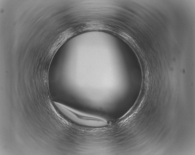 X0000053120849200508012149