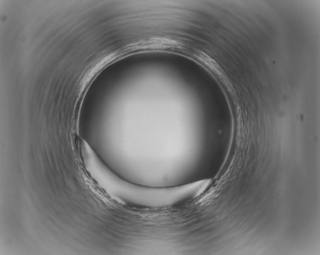 X0000053120850200508012149