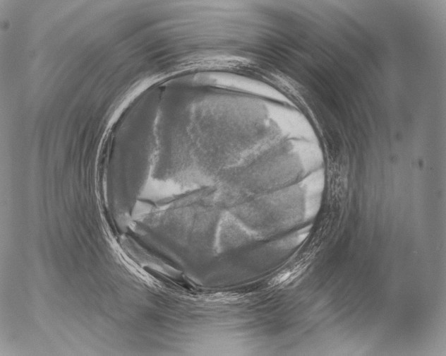 X0000053120851200508012149